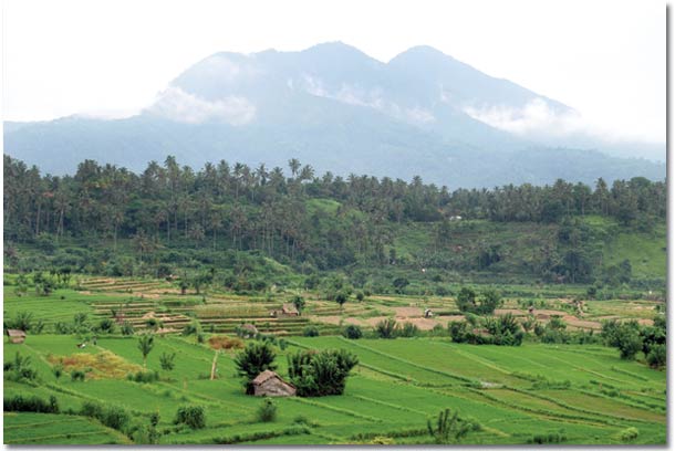 bali-01
